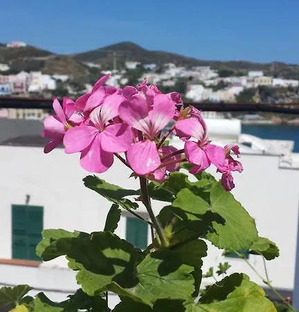 Hotel Del Capitano Ponza