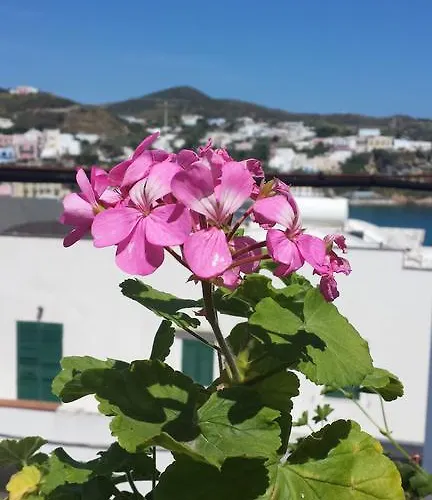 ホテル Del Capitano ポンツァ